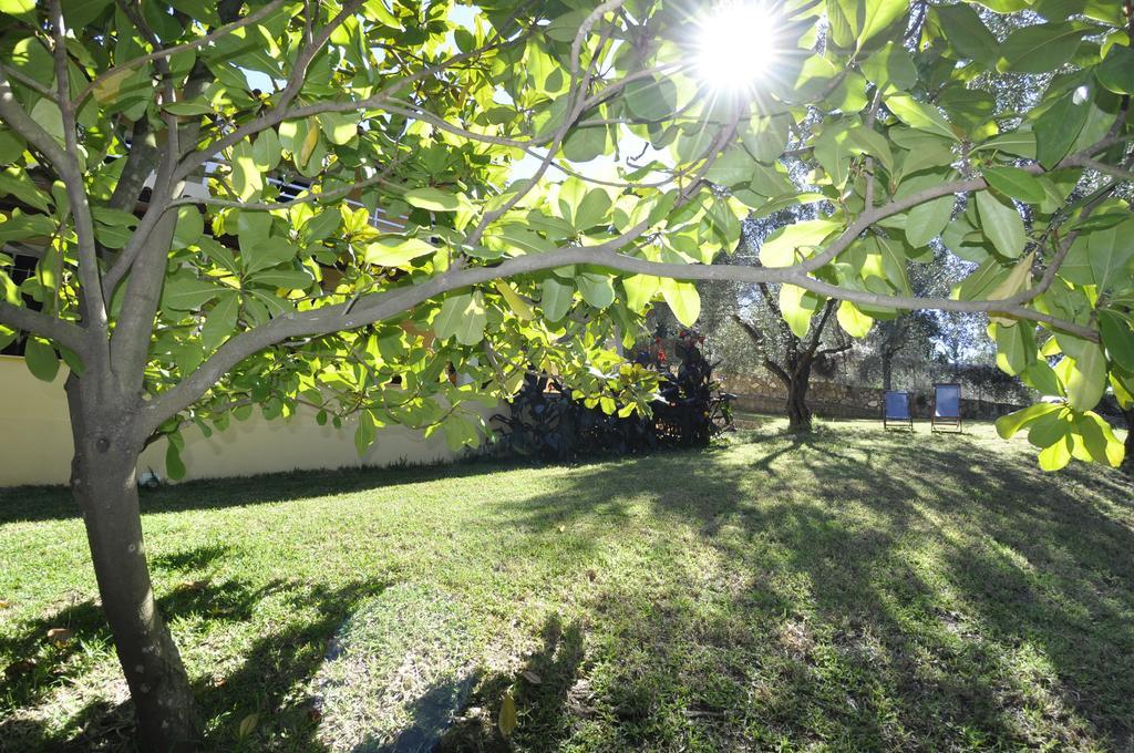 Magdalini Apartments Afionas Luaran gambar