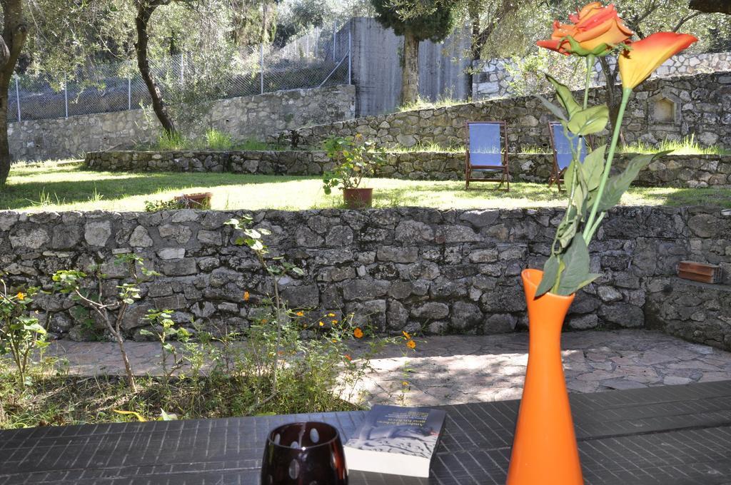 Magdalini Apartments Afionas Luaran gambar